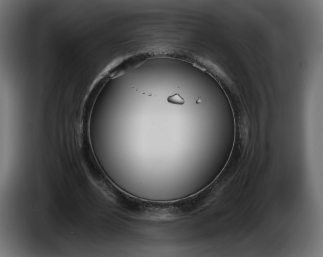 X0000086330488200704131724