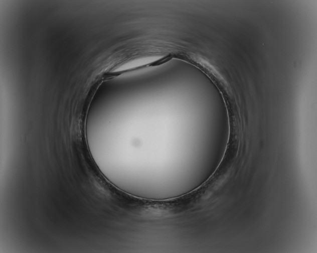 X0000086330489200704131724