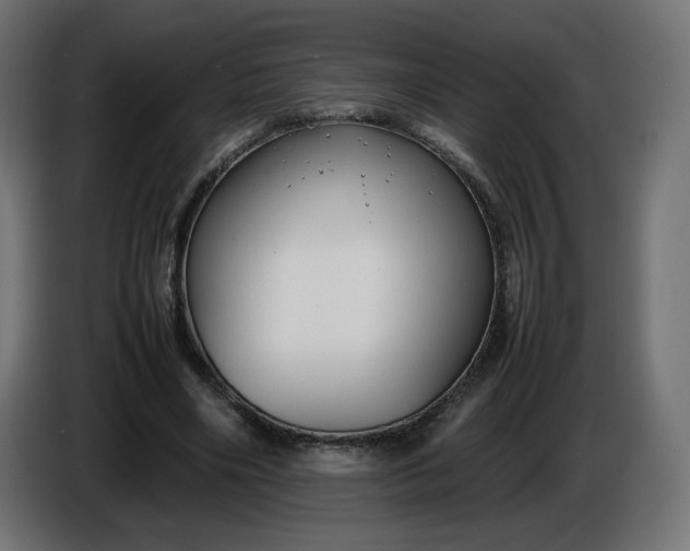 X0000086330490200704131724