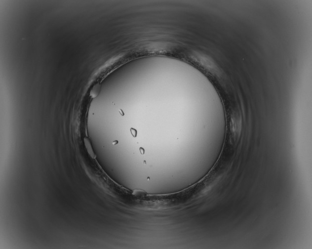 X0000086330492200704131724