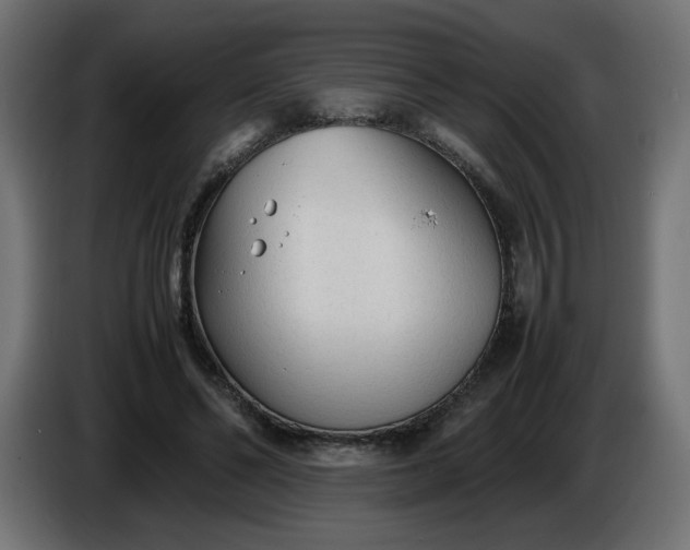 X0000086330494200704131724