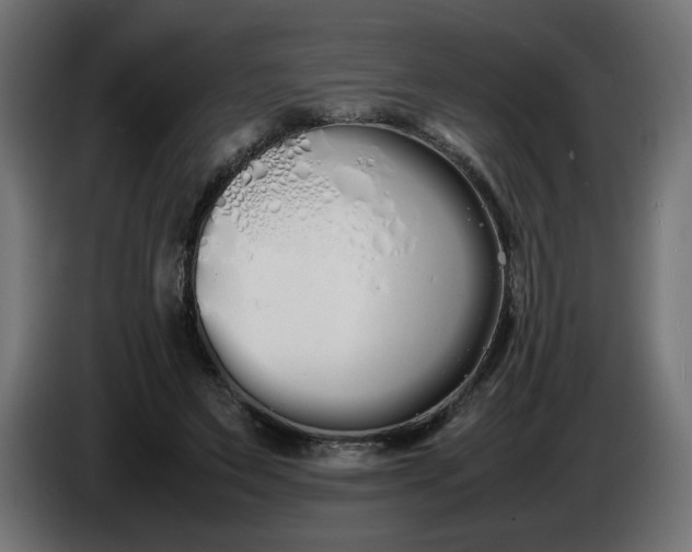 X0000086330495200704131724