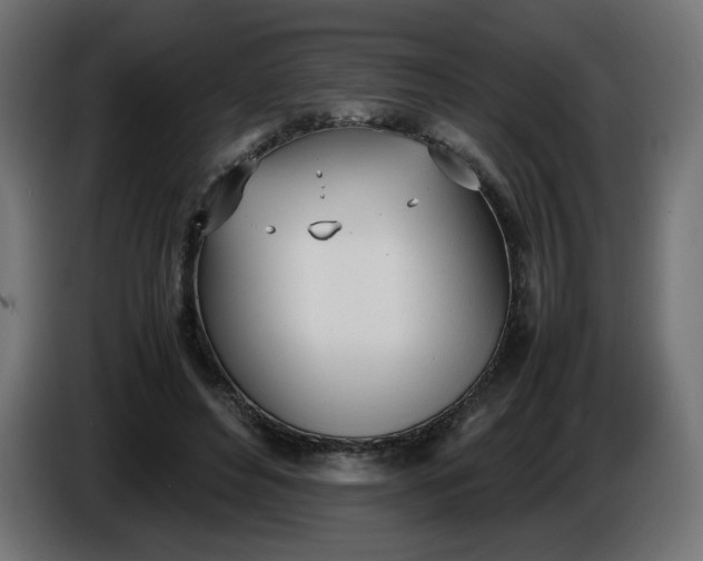 X0000086330496200704131724