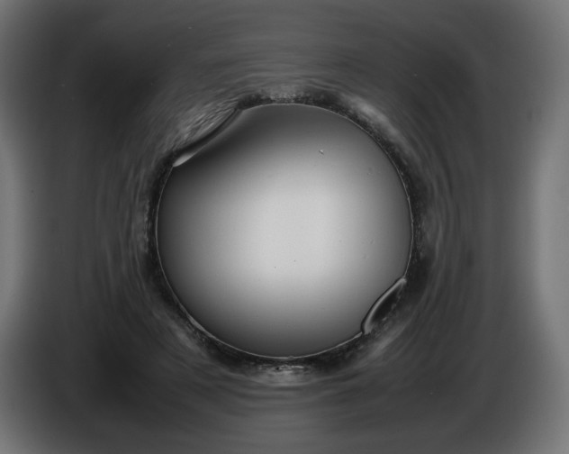 X0000086330497200704131724