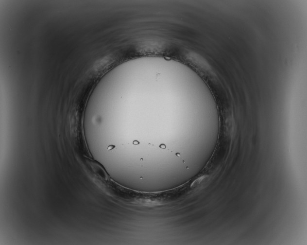 X0000086330498200704131724