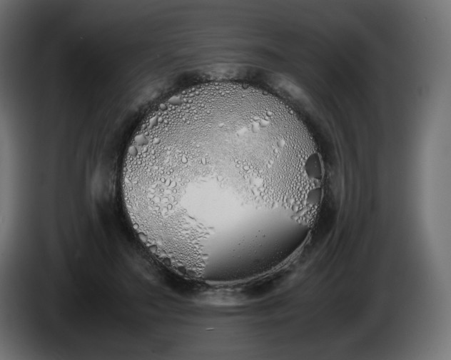 X0000086330499200704131724