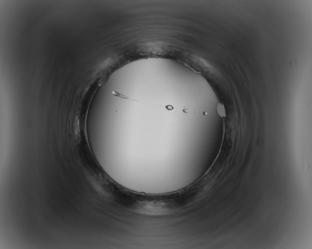 X0000086330500200704131724