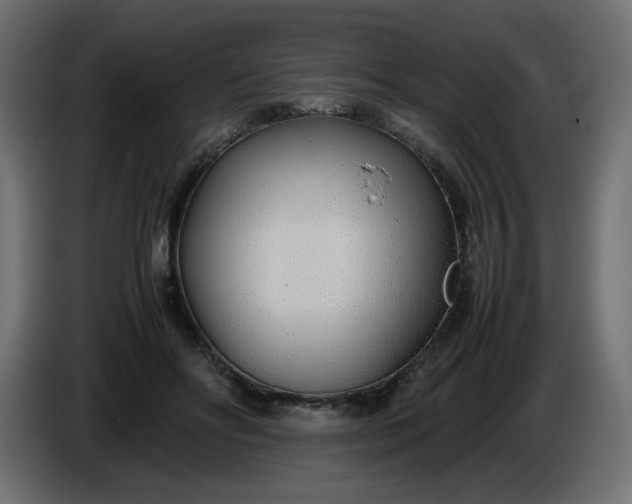 X0000086330502200704131724