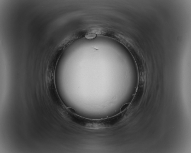 X0000086330503200704131724