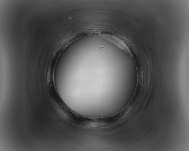 X0000086330504200704131723