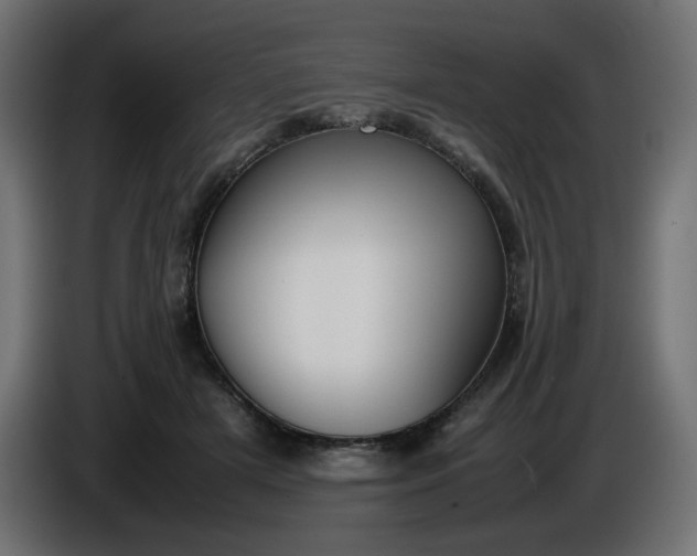 X0000086330505200704131723