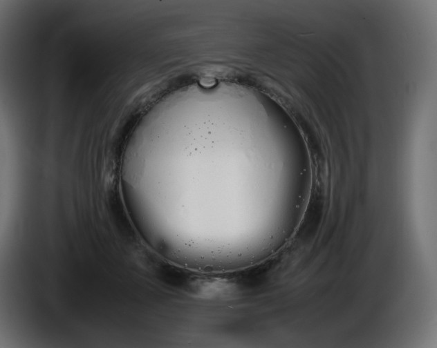 X0000086330507200704131723