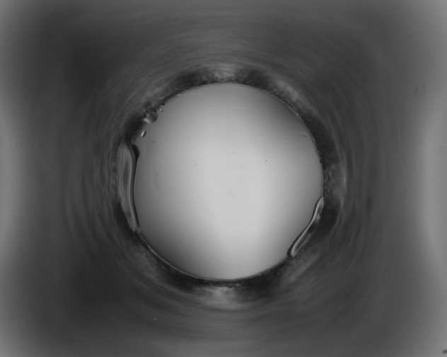 X0000086330509200704131723