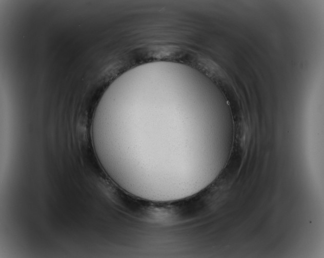 X0000086330510200704131723