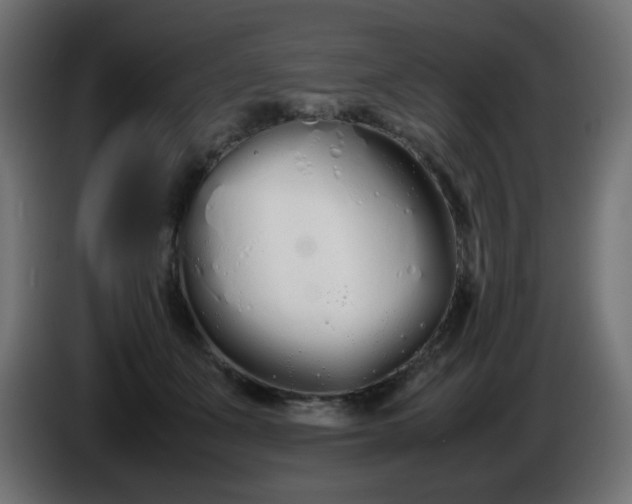 X0000086330511200704131723