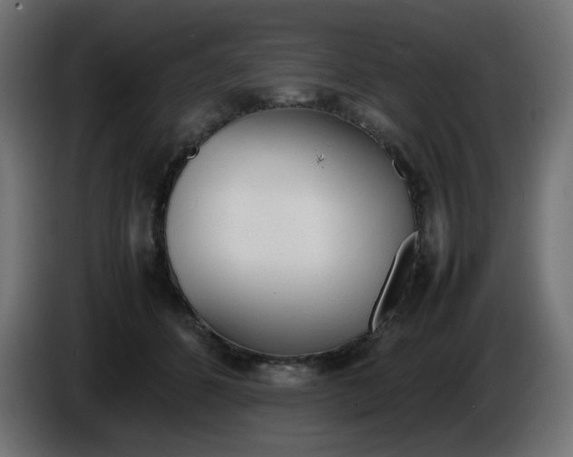 X0000086330512200704131723