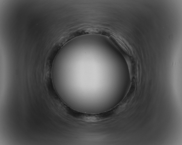 X0000086330513200704131723