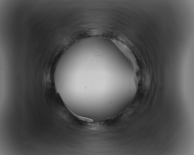 X0000086330516200704131723