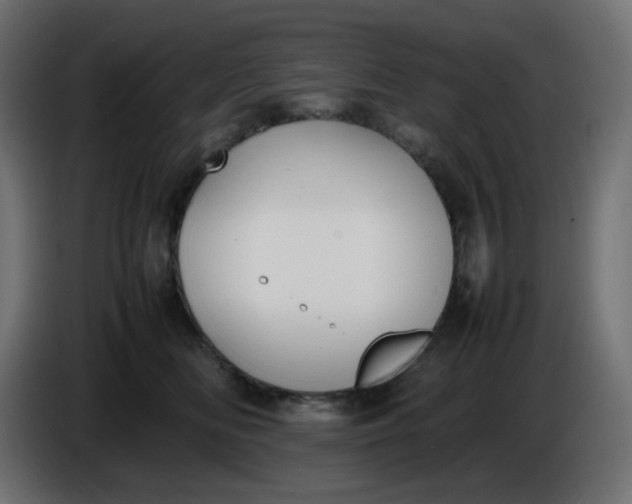 X0000086330518200704131723