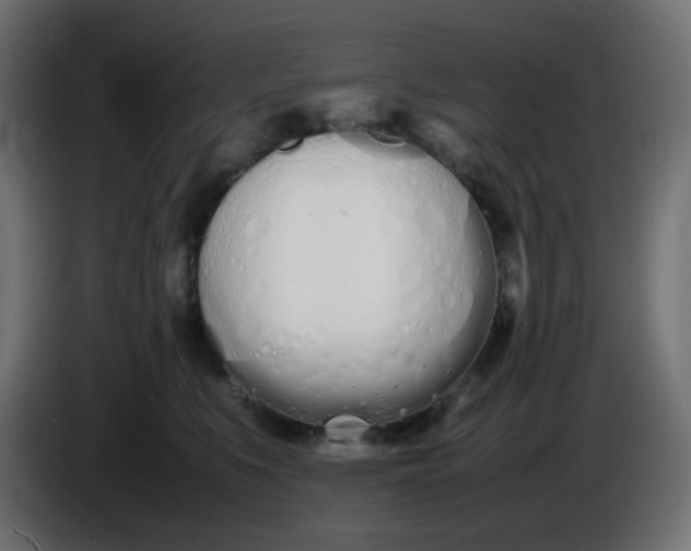 X0000086330519200704131723