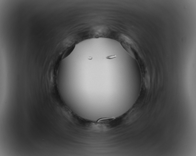 X0000086330520200704131723