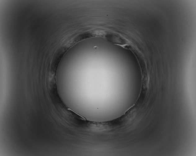 X0000086330521200704131723