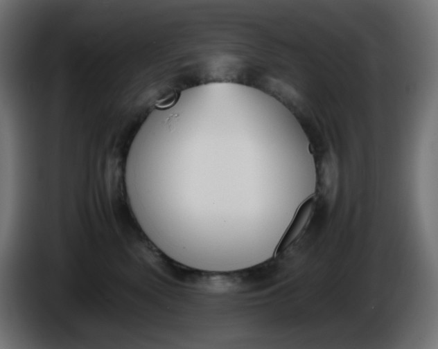 X0000086330522200704131723