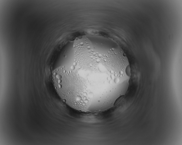 X0000086330523200704131723