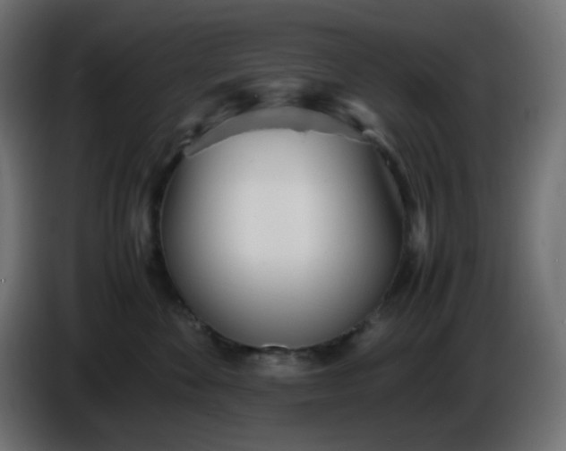 X0000086330524200704131723