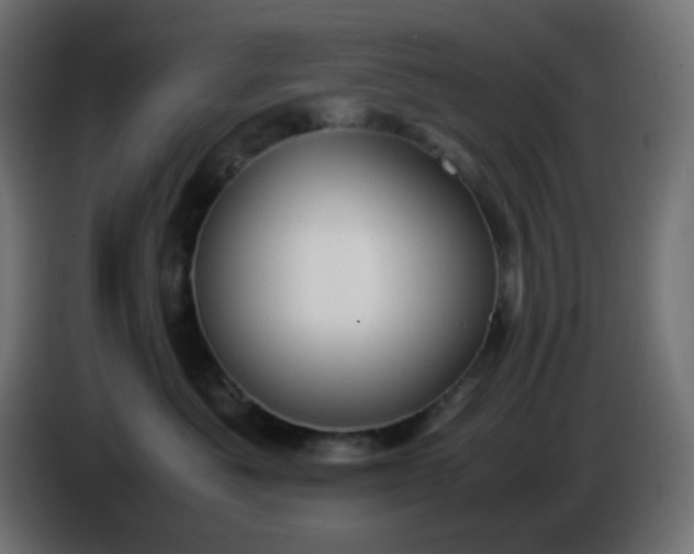 X0000086330525200704131723