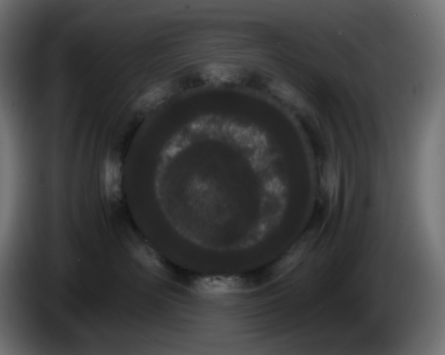 X0000086330526200704131723