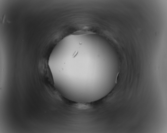 X0000086330528200704131723