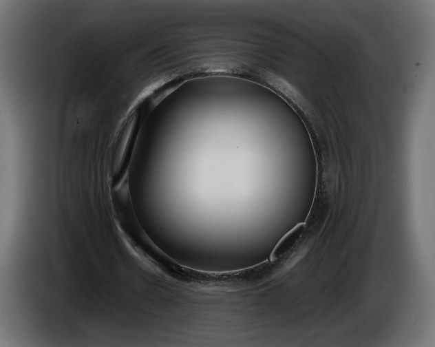 X0000086330530200704131722