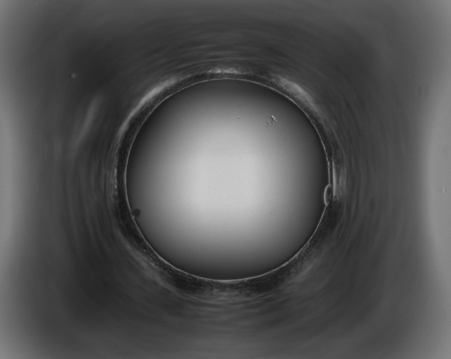 X0000086330531200704131722