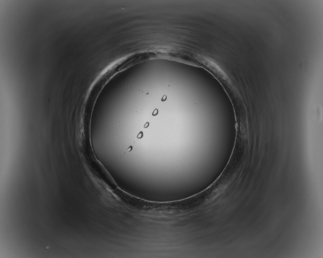 X0000086330532200704131722