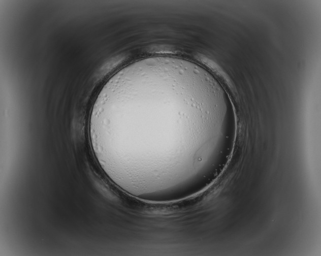 X0000086330533200704131722