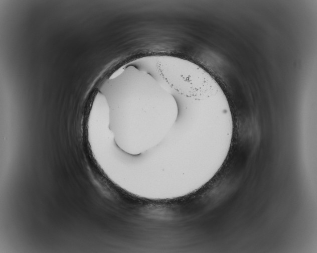 X0000086330534200704131722