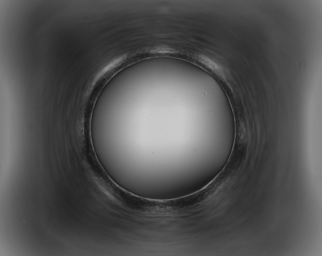 X0000086330535200704131722