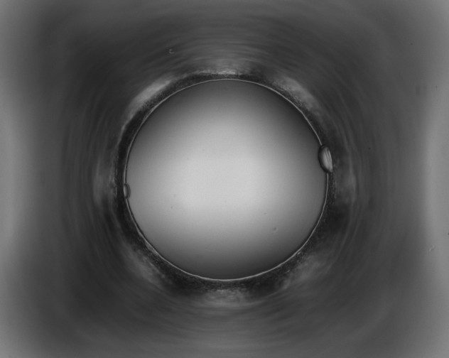 X0000086330536200704131722