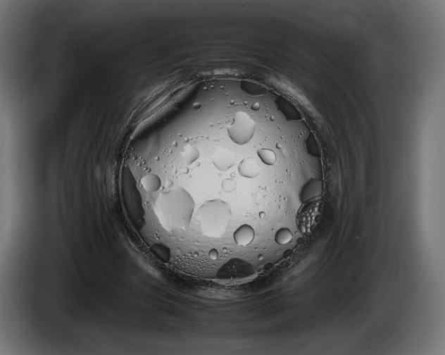 X0000086330537200704131722