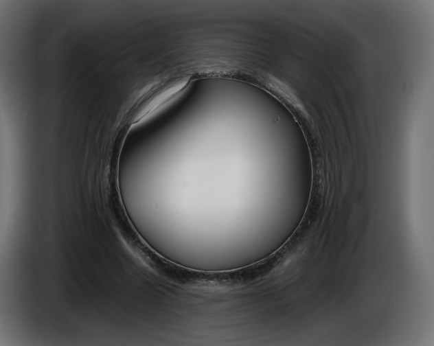 X0000086330538200704131722