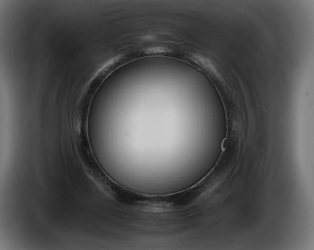 X0000086330539200704131722