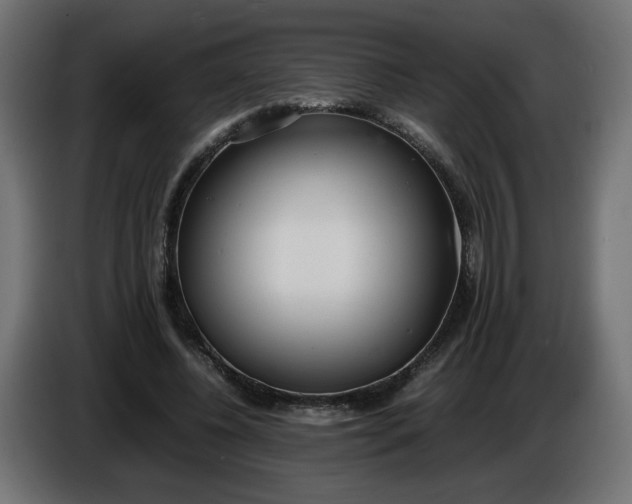 X0000086330540200704131722