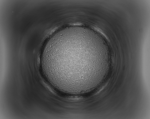 X0000086330541200704131722