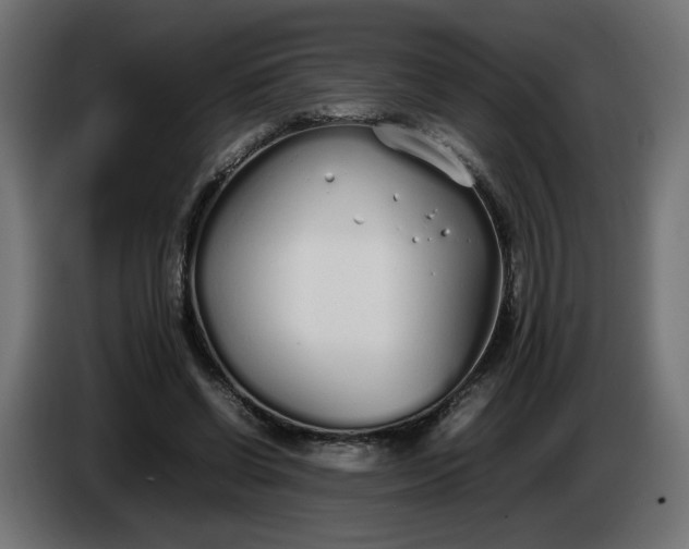 X0000086330542200704131722