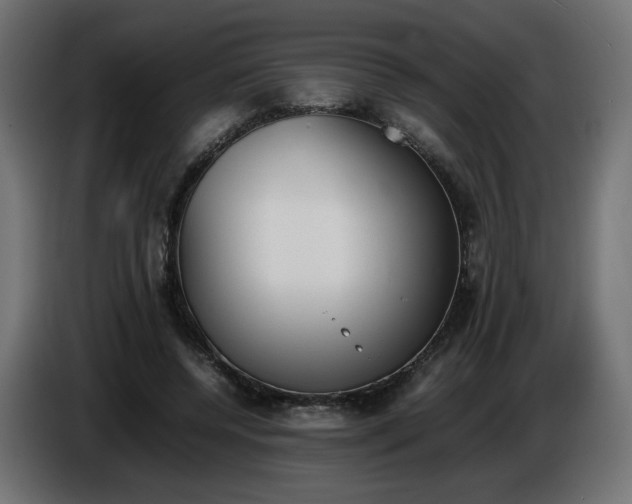 X0000086330544200704131722