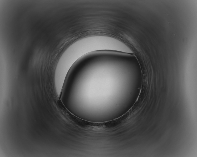 X0000086330548200704131723