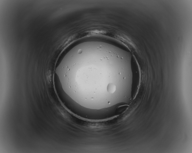 X0000086330549200704131723