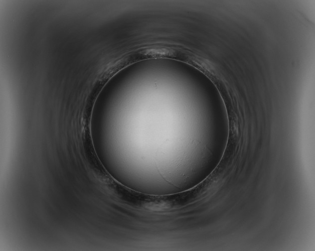 X0000086330551200704131723