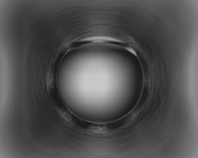 X0000086330552200704131723